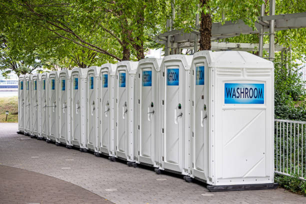 Best Affordable portable toilet rental  in River Rouge, MI